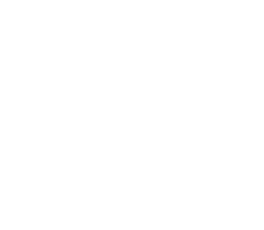 Fidela Film